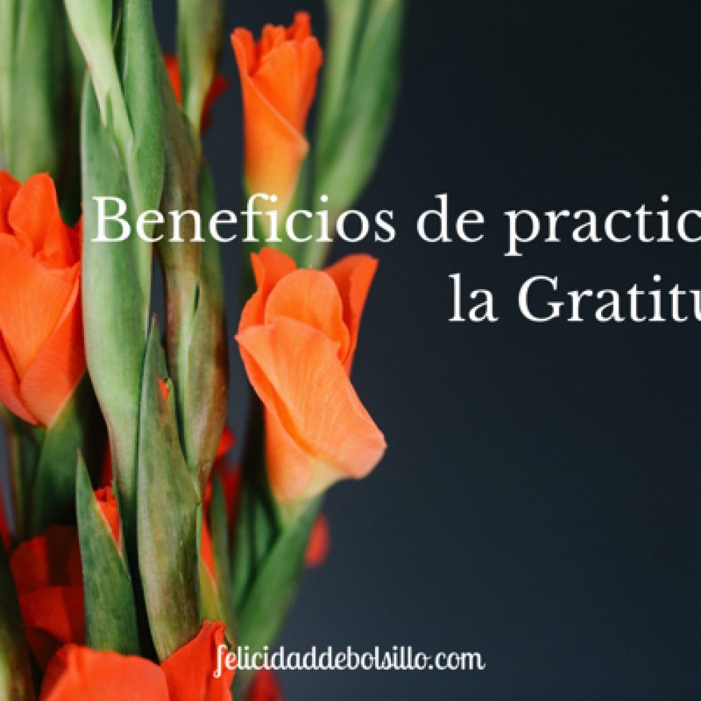 Beneficios de practicar la gratitud