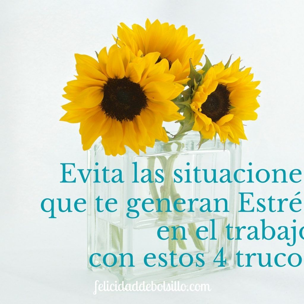 meditación contra el estrés