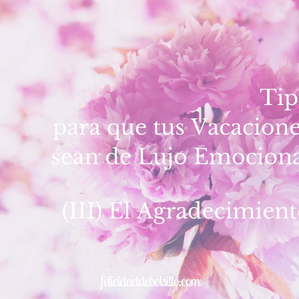 Tips para que tus vacaciones sean de Lujo emocional. (III) El agradecimiento