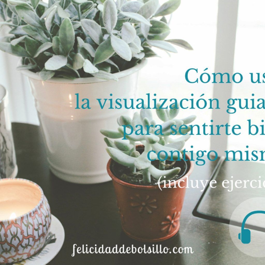 Cómo usar la visualización guiada
